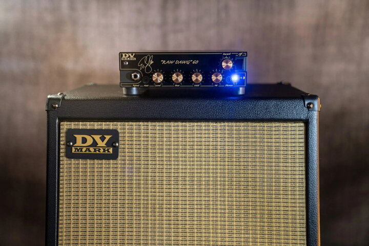 楽天市場】DV MARK DV RAW DAWG 60 / DVM-RDEG60/H 新品 ギター用 