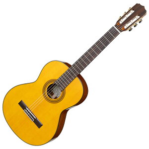Aria A-20S Basic Vi[AA][Classical Guitar,NVbNM^[,KbgM^[]