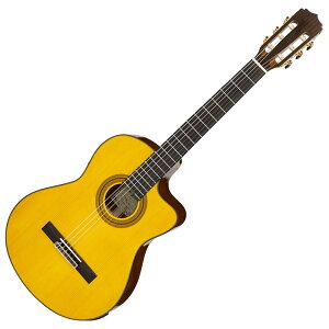 Aria A-35SCE Basic(Electric Cutaway) Vi[AA][Classical Guitar,NVbNM^[,KbgM^[]