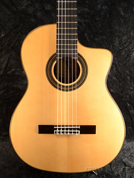 楽天市場】Aria A-60CWE エレガット[アリア][Electric Acoustic Guitar 