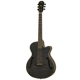 Aria FET-F2 -STBK(Stained Black)-新品 [アリア][Fホール][ブラック][Acoustic Guitar,アコギ,アコースティックギター,エレアコ,Folk Guitar,フォークギター]