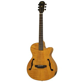Aria FET-F2 -STBR(Stained Brown)-新品 [アリア][Fホール][ナチュラル][Acoustic Guitar,アコギ,アコースティックギター,エレアコ,Folk Guitar,フォークギター]