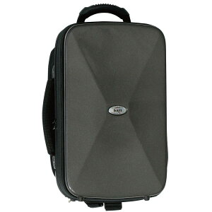 bags EVOLUTION 2 CLARINETS CASE EF2CL "2{[\" Vi NlbgpP[X[oOY][Nlbg][Ǌy][obO,bN]