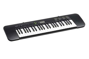 Casio CTK-240 Vi 49 L[{[h[JVI][CTK240][49Key][t@~[L[{[h,t@~L[,Family Keyboard]
