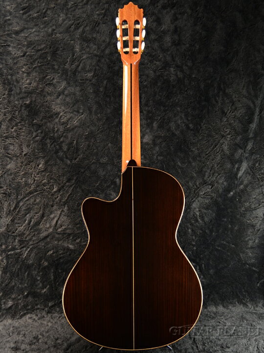 楽天市場】Paco Castillo 224CE Spruce NarrowNeck 新品[パコ  