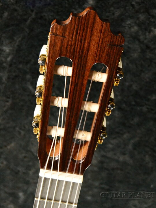 楽天市場】Paco Castillo 224CE Spruce NarrowNeck 新品[パコ  