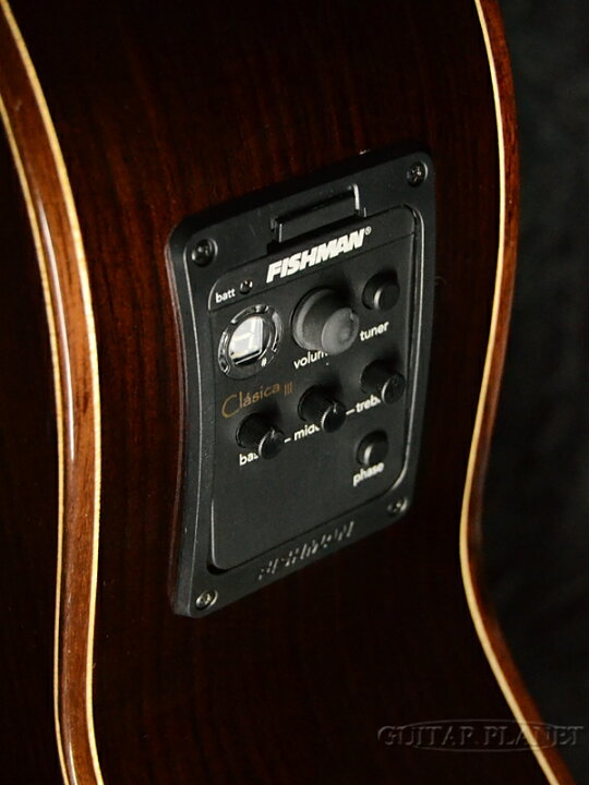 楽天市場】Paco Castillo 224CE Spruce NarrowNeck 新品[パコ  