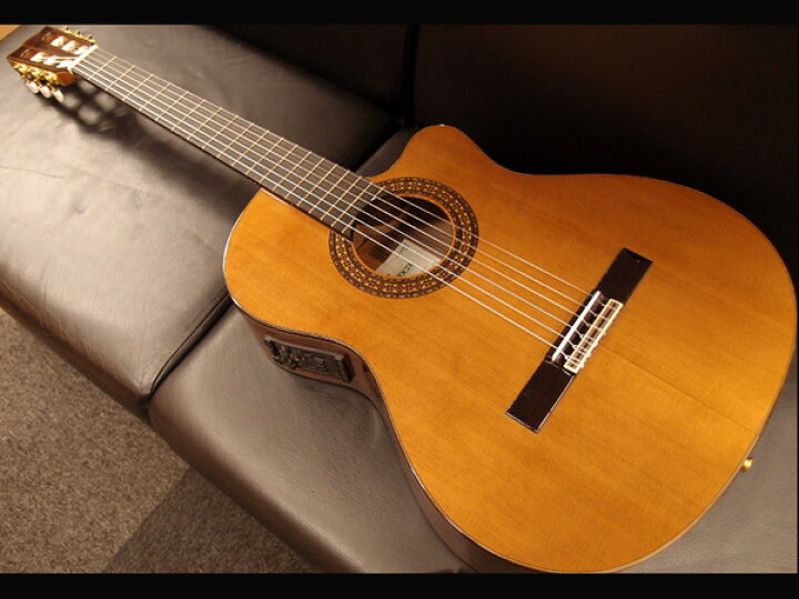 楽天市場】Cuenca Madurez Ceder 新品 クラシックギター[クエンカ 