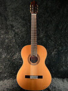 Martinez MC-58C Vi[}eBlX][Classical Guitar,NVbNM^[][Acoustic Guitar,ARM,AR[XeBbNM^[,Folk Guitar,tH[NM^[]
