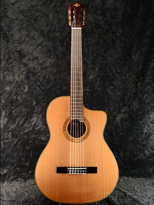 楽天市場】Martinez MP-12MH 杉/マホガニー 新品[マルティネス 