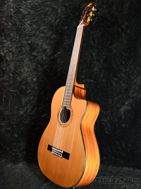 楽天市場】Martinez MP-12MH 杉/マホガニー 新品[マルティネス 