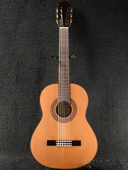 楽天市場】Martinez MR-580C 杉/ローズウッド 新品[マルティネス 