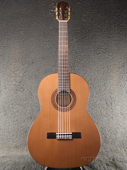 楽天市場】Martinez MR-630C 杉/ローズウッド 新品[マルティネス 