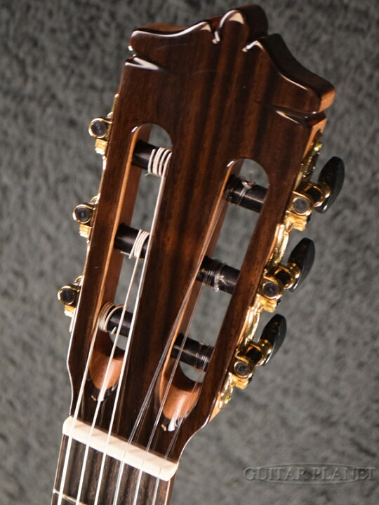 楽天市場】Martinez MR-630C 杉/ローズウッド 新品[マルティネス 
