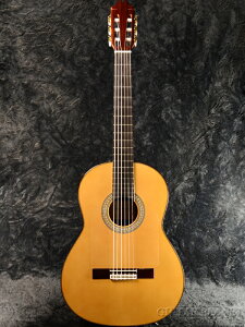 Juan Hernandez Profesor Flamenca Negra Vi[zAGifX][XyC][Classical Guitar,NVbNM^[,Flamenco,tR]