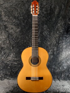 Juan Hernandez Profesor  Vi[zAGifX][XyC][Classical Guitar,NVbNM^[,Flamenco,tR]