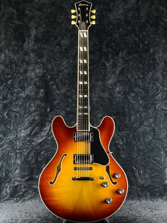 楽天市場】Eastman T486-GB (Goldburst)- 新品[イーストマン][ゴールド 