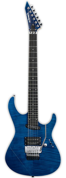 edwards EFV125FM