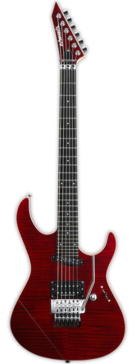 edwards EFV125FM