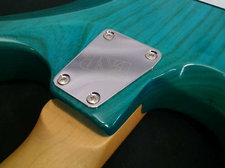 楽天市場】Edwards E-SNAPPER-AS/M -Turquoise- 新品 ターコイズ 