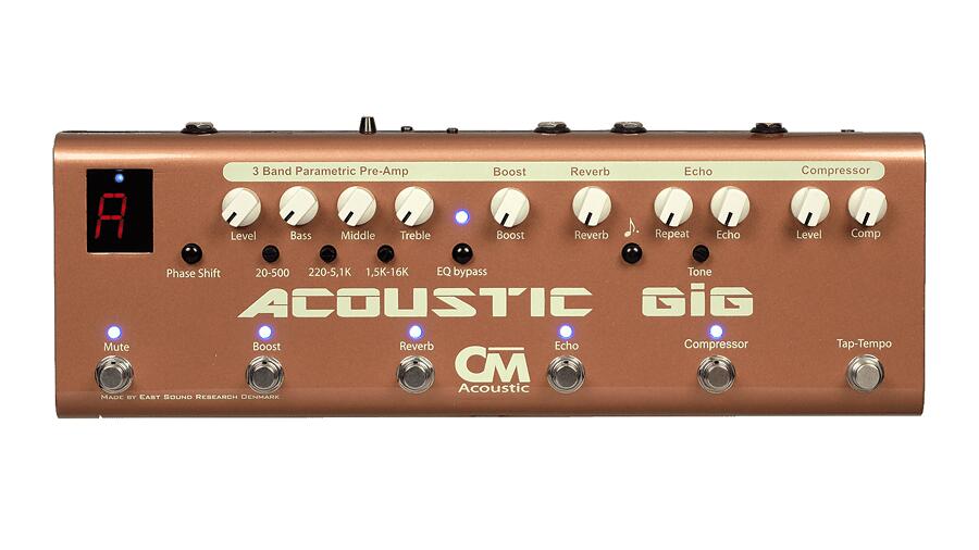 販売販促品 CARL MARTIN Acoustic GIG 新品 アコースティックギター用