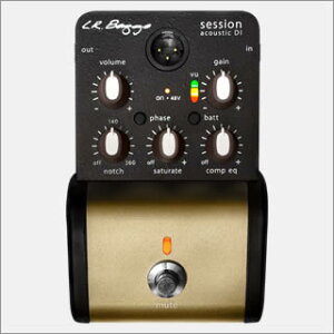 L.R.Baggs Session Acoustic D.I. Vi[LRobOX][ZbVAR[XeBbNDI][Preamp,vAv]
