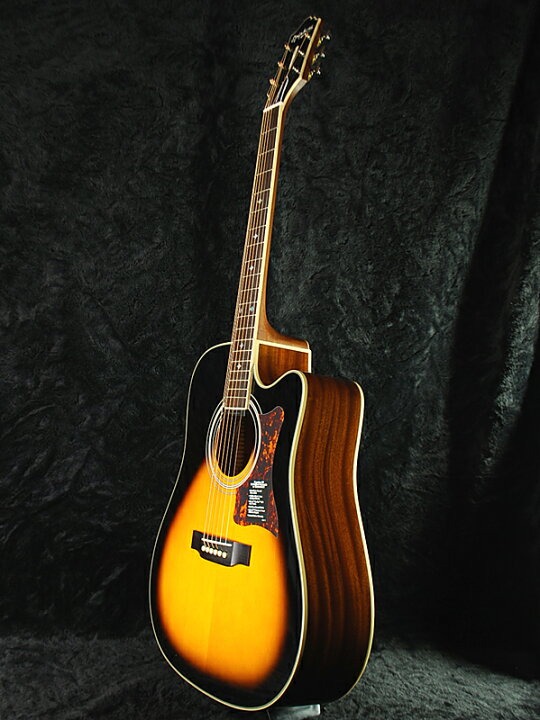 楽天市場】Epiphone DR-500MCE 新品 オール単板ボディ Vintage 