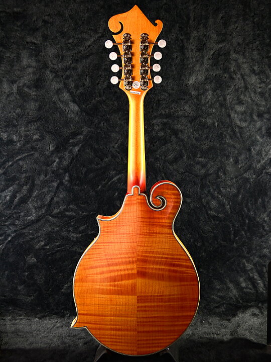 楽天市場】Epiphone MM-50E Professional Electric Mandolin 新品 