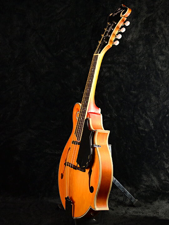楽天市場】Epiphone MM-50E Professional Electric Mandolin 新品 