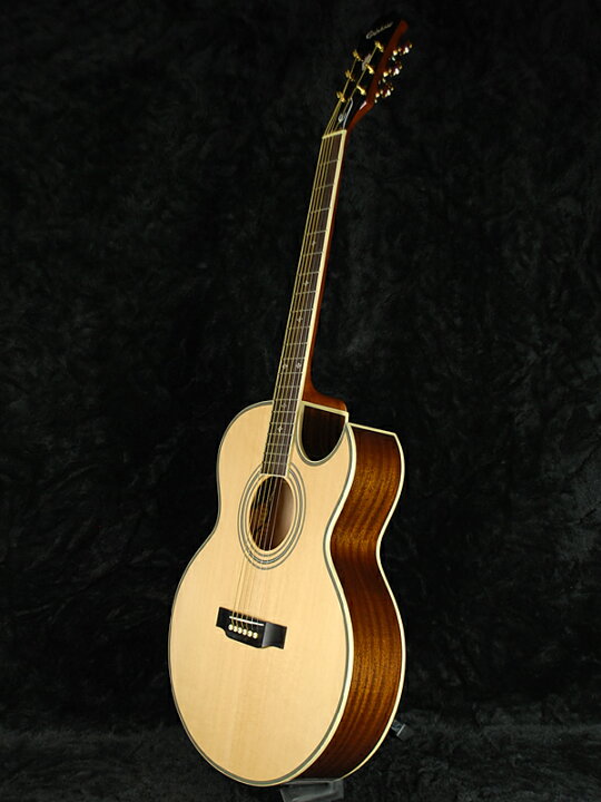Epiphone エピフォン PR-5E NAT アコースティックギター エレアコ by  