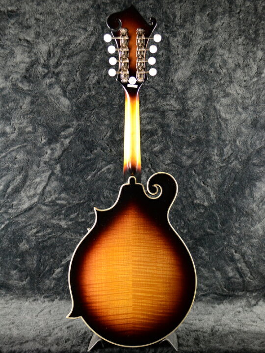 楽天市場】Epiphone MM-50 Mandolin 新品 ヴィンテージサンバースト 