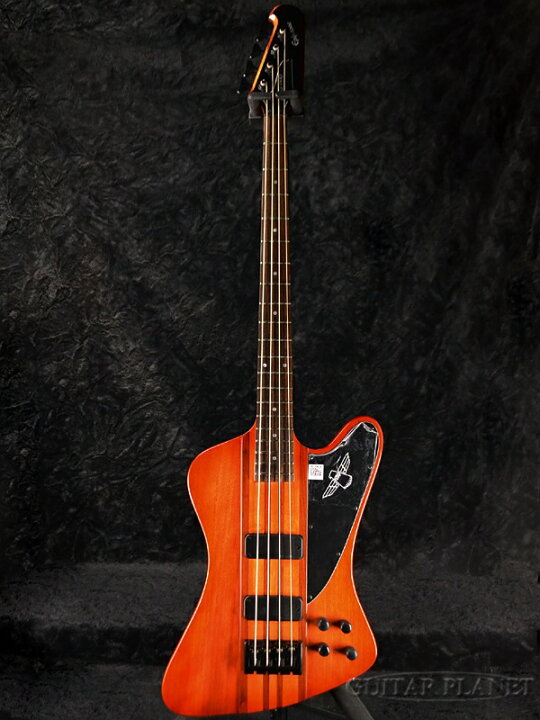 楽天市場】Epiphone Thunderbird Pro IV 新品 ヴィンテージサン 