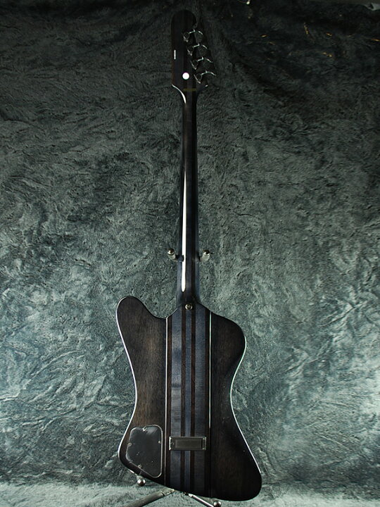 楽天市場】Epiphone Thunderbird Pro IV 新品 トランスブラック 