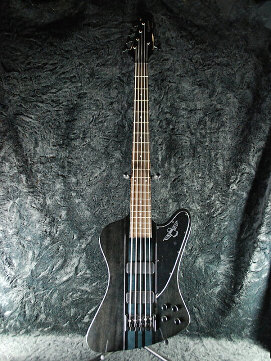楽天市場】Epiphone Thunderbird Pro V 新品 トランスブラック 