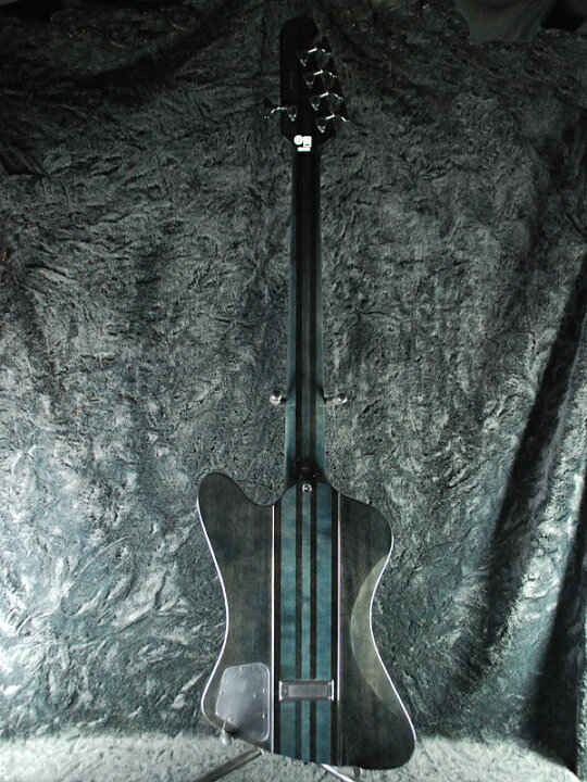 楽天市場】Epiphone Thunderbird Pro V 新品 トランスブラック 