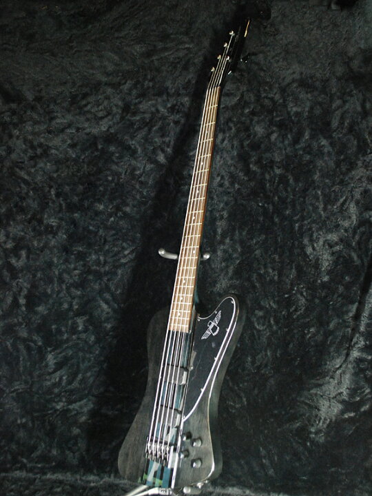楽天市場】Epiphone Thunderbird Pro V 新品 トランスブラック 