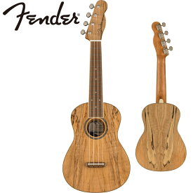 Fender ZUMA EXOTIC CONCERT UKULELE -Natural Spalted Maple- 新品[フェンダー][コンサートウクレレ]