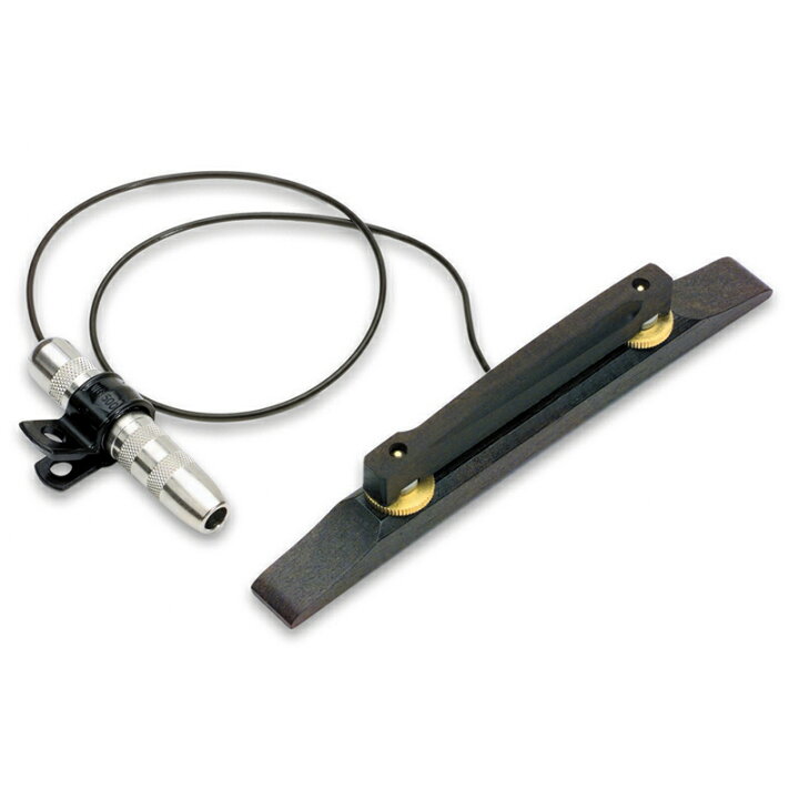 楽天市場】FISHMAN Archtop Guitar Pickup 新品 アーチトップギター用 