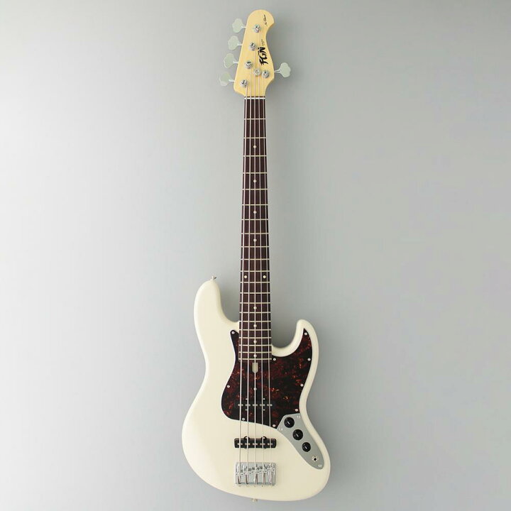 FUJIGEN(FGN) NCS 書入れる NJB100RALV 【5弦】 