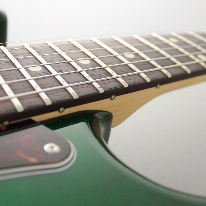 楽天市場】FgN(FUJIGEN) NST110RALL-CAG (Candy Apple Green)- 