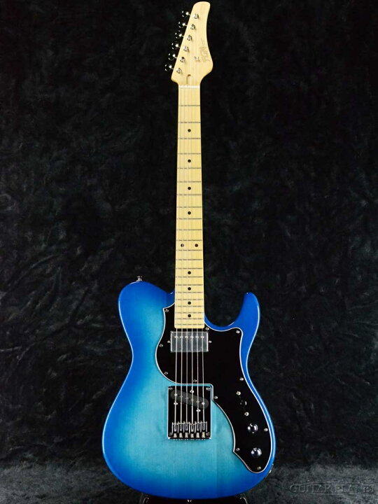 楽天市場】FgN(FUJIGEN) BIL2-M-HS TBS 新品[フジゲン][Blue,ブルー,青 