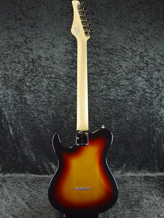 楽天市場】FgN(FUJIGEN) BIL2-G-HS 3TS 新品[フジゲン][サンバースト 