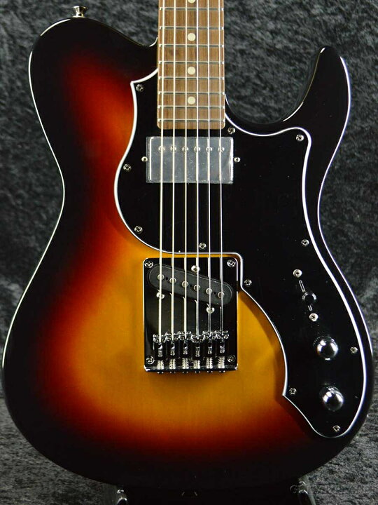 楽天市場】FgN(FUJIGEN) BIL2-G-HS 3TS 新品[フジゲン][サンバースト 