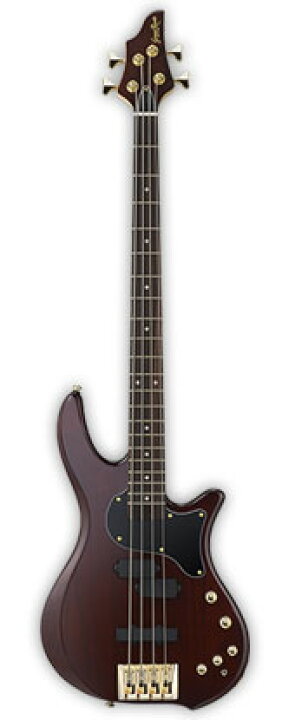 楽天市場】GrassRoots G-BB-60 新品 シースルーブラウン[グラスルーツ 