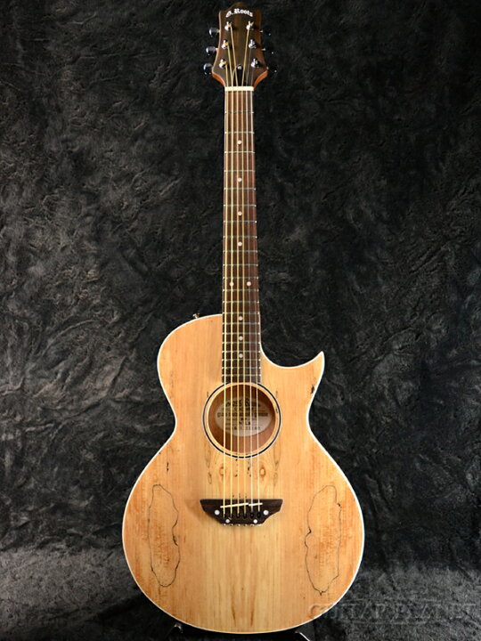 楽天市場】GrassRoots G-AC-48SP 新品[グラスルーツ][ESPブランド 