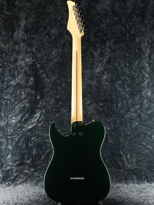 楽天市場】Greco WST-STD Dark Green/Maple 新品[グレコ][国産][ダーク 