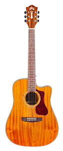 Guild D-120CE -The Westerly Collection- Vi NAT[Mh][sbNAbv][Natural,i`][Acoustic Guitar,AR[XeBbNM^[,Folk Guitar,tH[NM^[][D120CE]