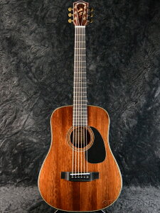 Headway Japan Tune-Up Series HM-5080SE/AM Vi[wbhEFC][Wp`[][Natural,i`][Acoustic Guitar,ARM,AR[XeBbNM^[,Folk Guitar,tH[NM^[]