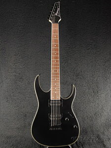 Ibanez RG421EX-BKF Black Flat Vi[ACoj[Y][ubN,][Stratocaster,XggLX^[^Cv][Electric Guitar,GLM^[]