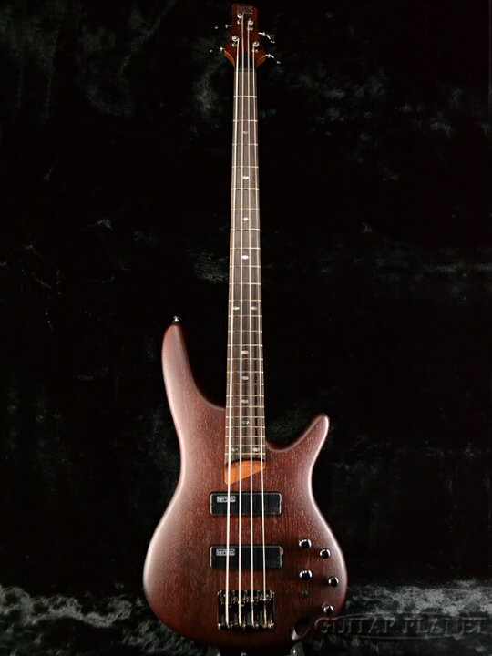 楽天市場】Ibanez SR500-BM Brown Mahogany 新品[アイバニーズ 